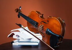 Biola adalah salah satu contoh dari alat musik yang masuk dalam kategori kelompok alat musik gesek