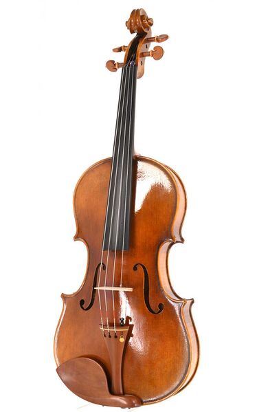 Berkas:Viola.jpg